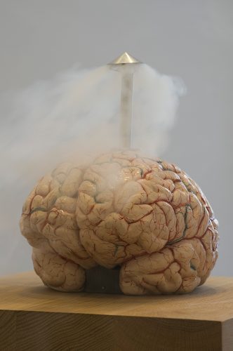 Jan Fabre, Het brein als cabanneke, courtesy Galerie Bernd Klüser © Photo Mario Gastinger